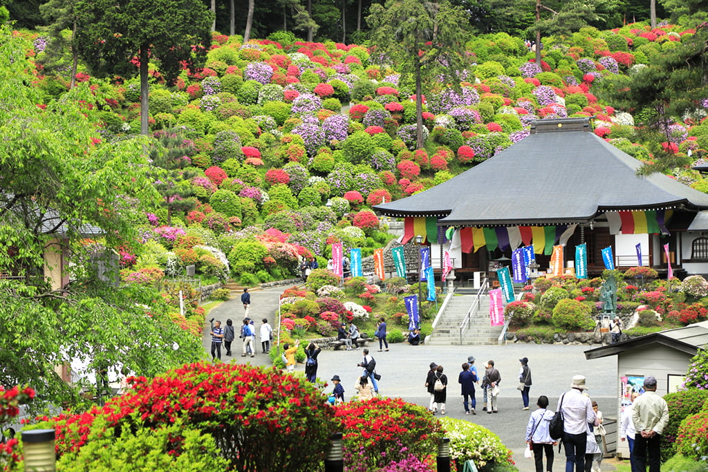 別格本山 塩船観音寺 おうめ観光ガイド