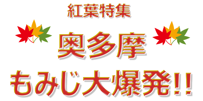 紅葉特集 おうめ観光ガイド 紅葉特集 おうめ観光ガイド
