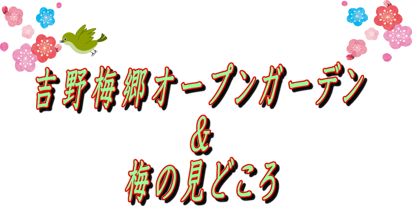 吉野梅郷オープンガーデン＆梅の見どころ