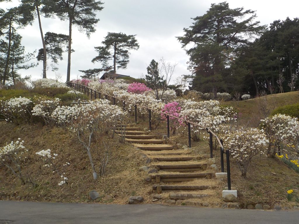 2021年3月16日撮影 おうめ観光ガイド