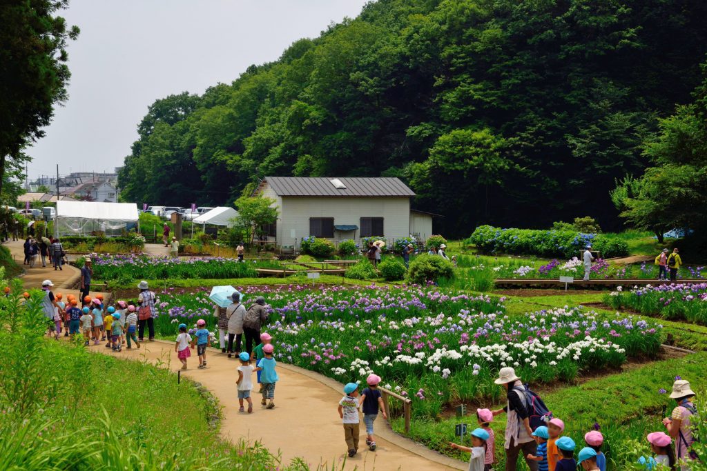 駅からハイキング(河辺駅) おうめ観光ガイド