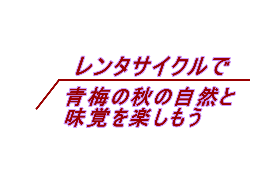 秋のサイクリング（レンタサイクル）